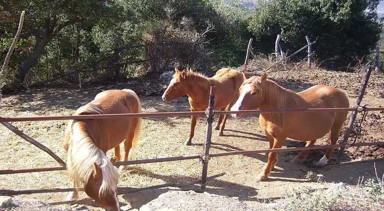 Holiday home in Paciano