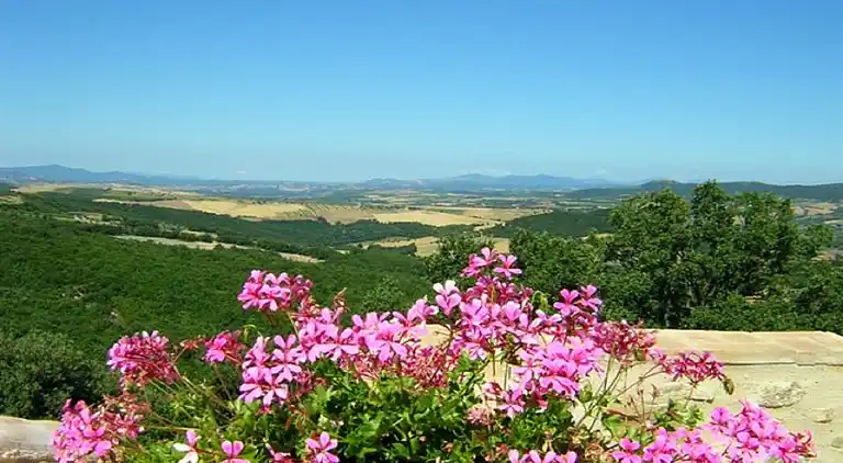Sommerhus i Seggiano