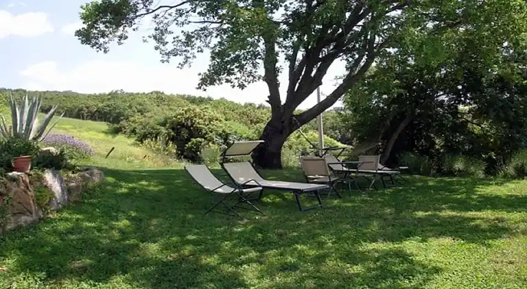 Sommerhus i Seggiano