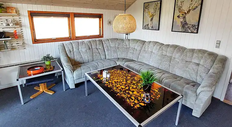 Sommerhus i Bork Havn