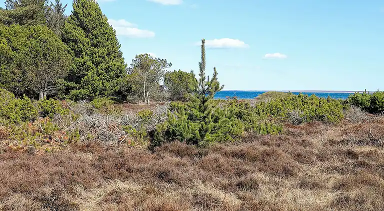 Holiday home in Thyholm