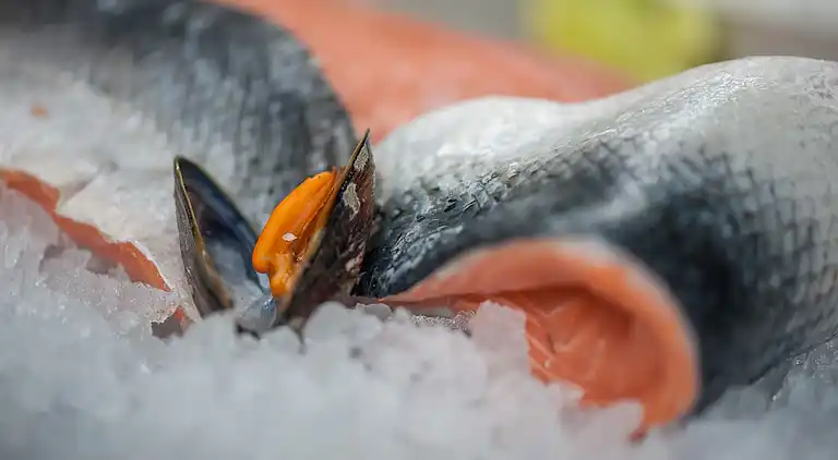 Bungalow i Bredene-aan-Zee