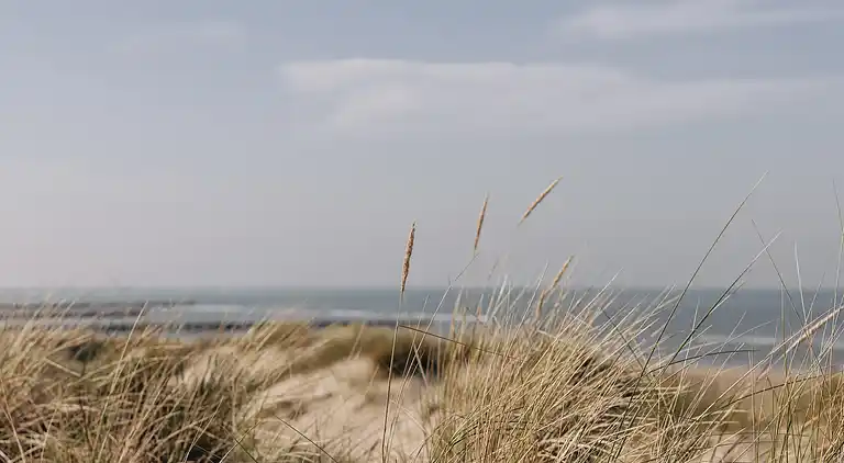 Villa in Bredene-aan-Zee