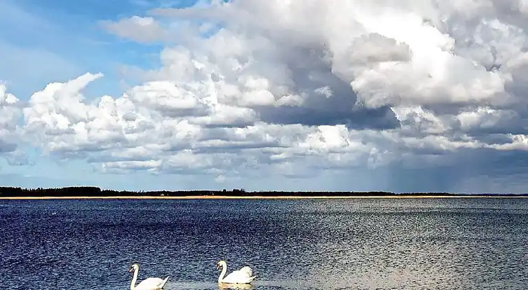 Semesterbostad i Bamble