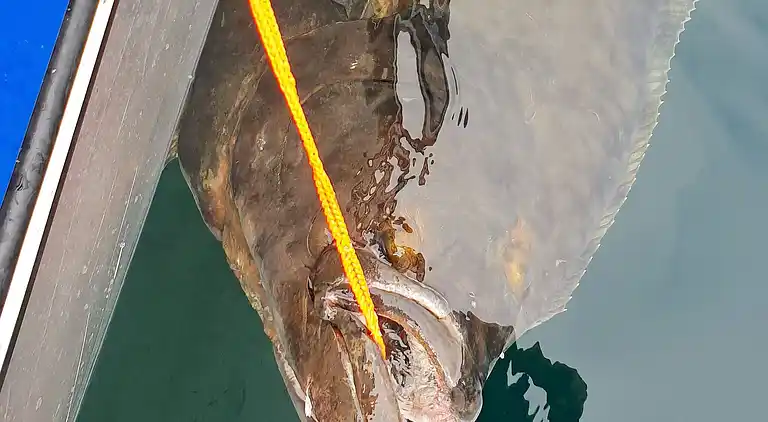 Sommerhus i Skrolsvik