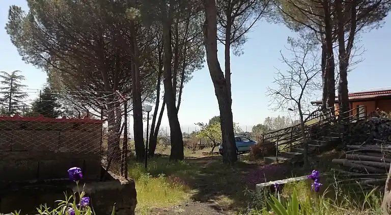 Bed & Breakfast en Nicolosi