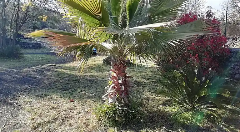 Bed & Breakfast en Nicolosi