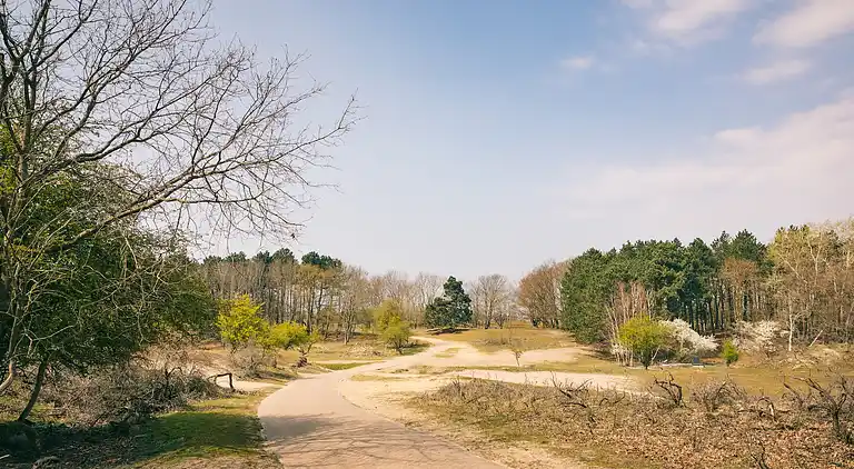 Vakantiehuis in Noordwijkerhout