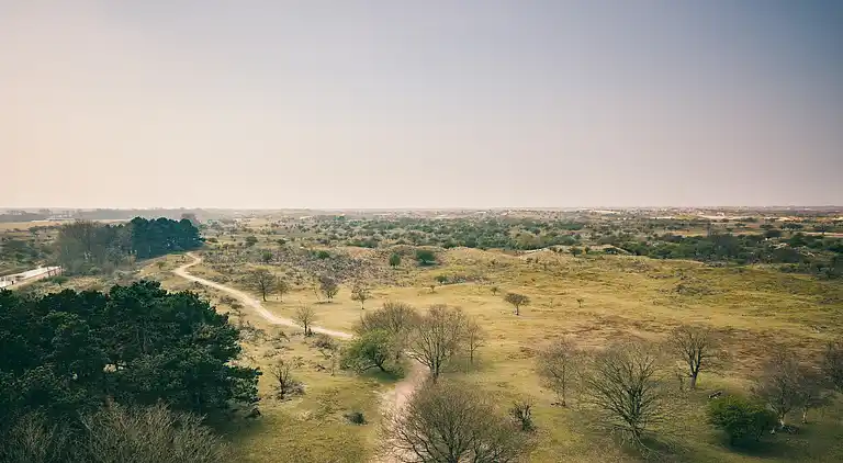 Vakantiehuis in Noordwijkerhout