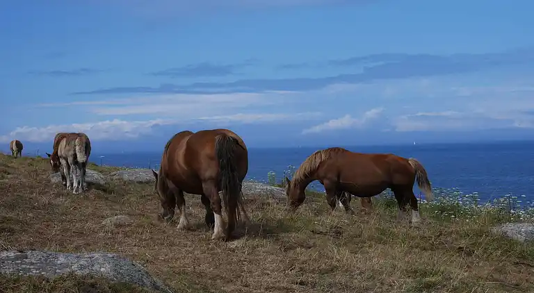Holiday home in Plourin