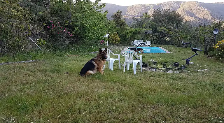 Mansione in Can Palau