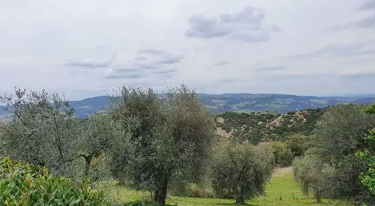 Sommerhus i Seggiano