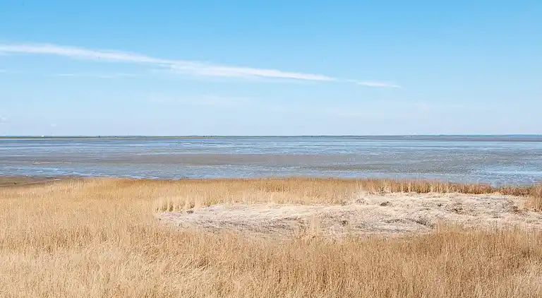 Holiday home in Kongsmark