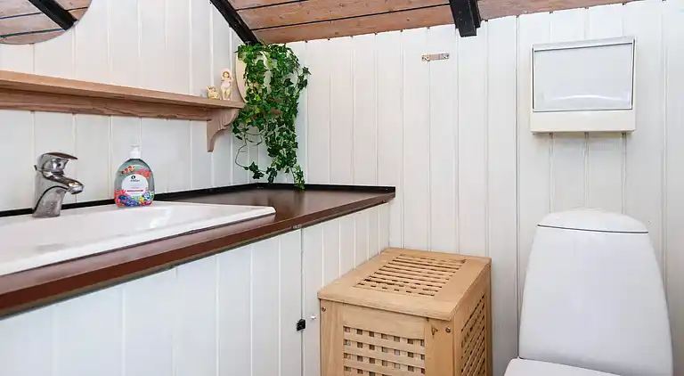 Ferienhaus in Branderup J