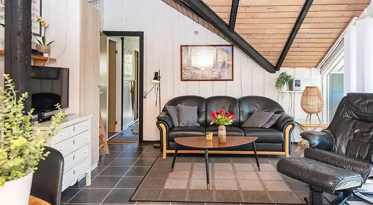 Ferienhaus in Branderup J