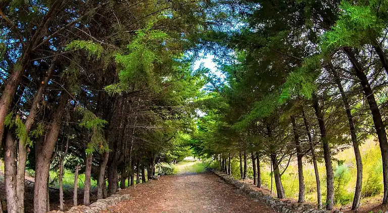 Sommerhus i Alpedrinha