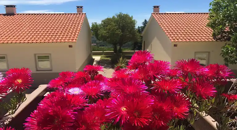 Sommerhus i Alpedrinha