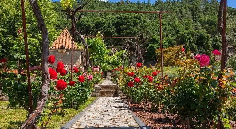 Sommerhus i Castanheiro