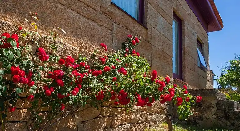 Sommerhus i Castanheiro