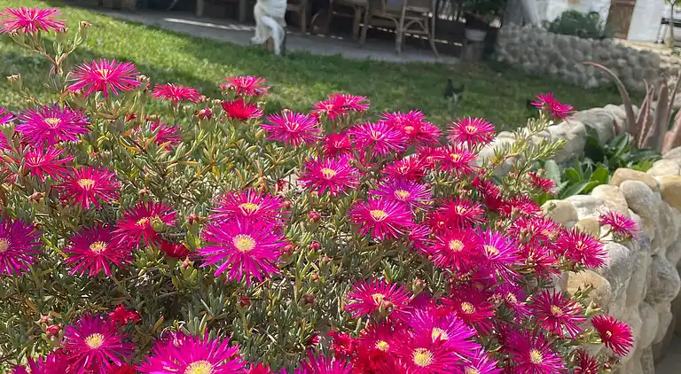 Casa de vacaciones en Arcos de la Frontera