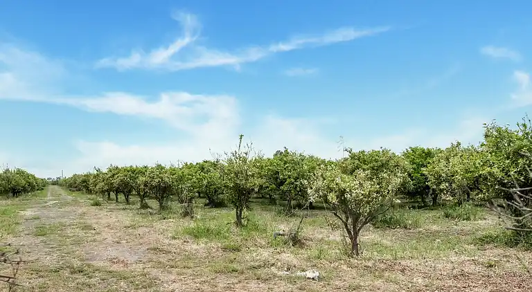 Vakantiehuis in Carlentini