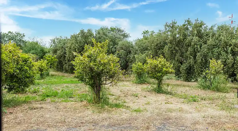 Vakantiehuis in Carlentini