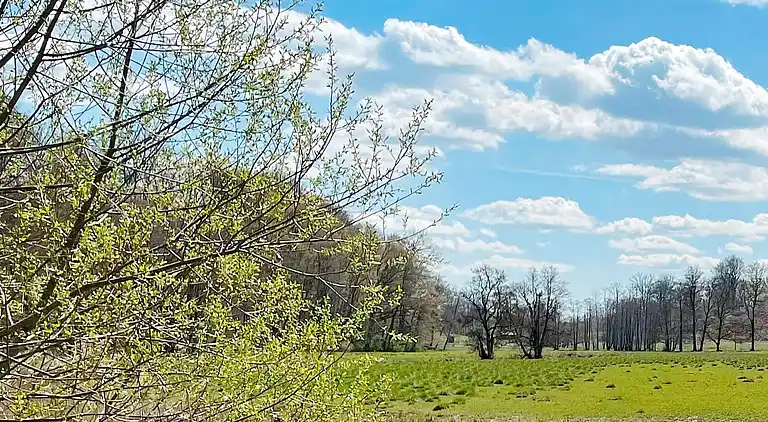 Holiday home in Skåne