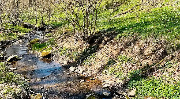 Holiday home in Skåne