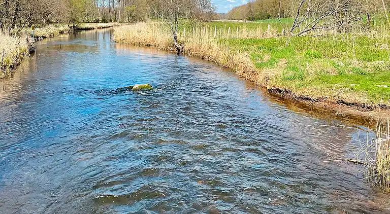 Holiday home in Skåne