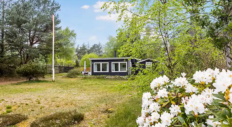 Schönes Einfamilienhaus in Strand- und Waldnähe