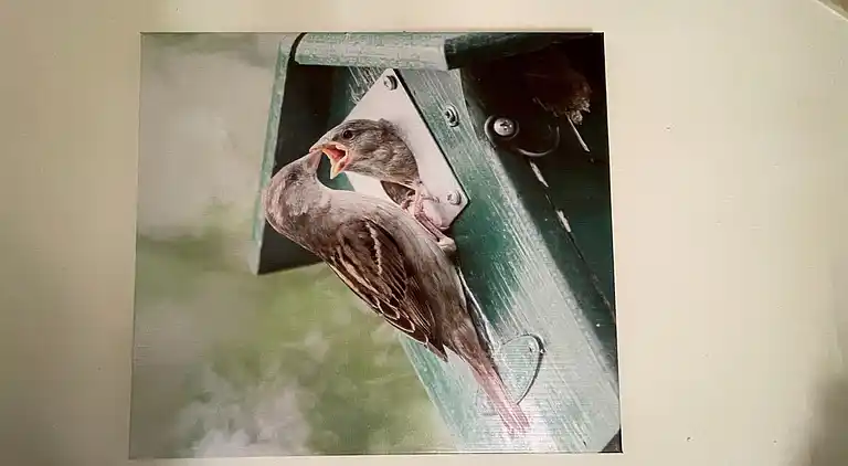 Holiday home in Uden