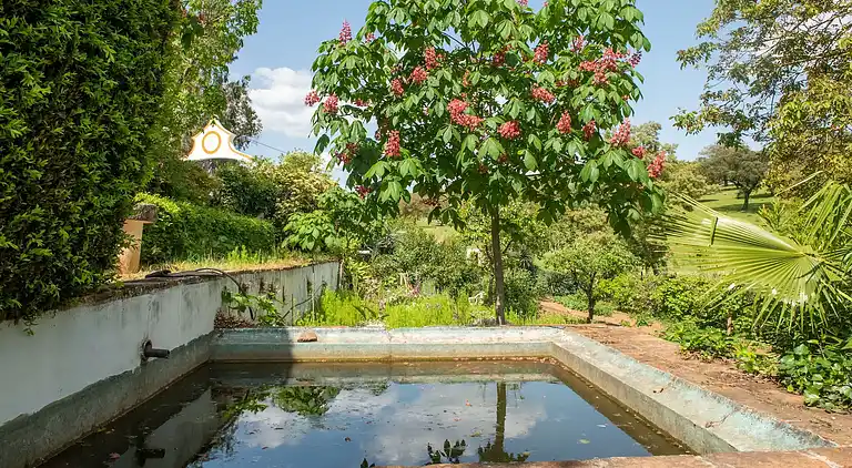Farm house in São Sebastião da Giesteira