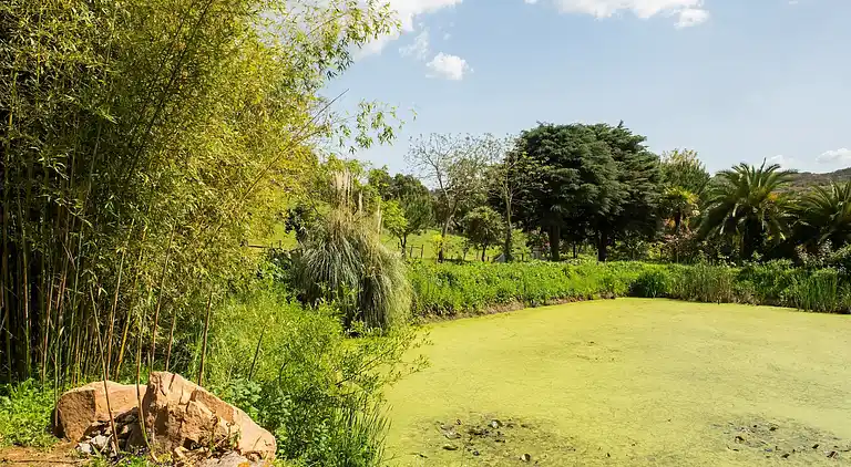 Farm house in São Sebastião da Giesteira