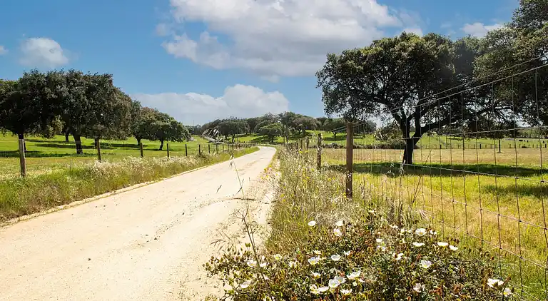 Farm house in São Sebastião da Giesteira