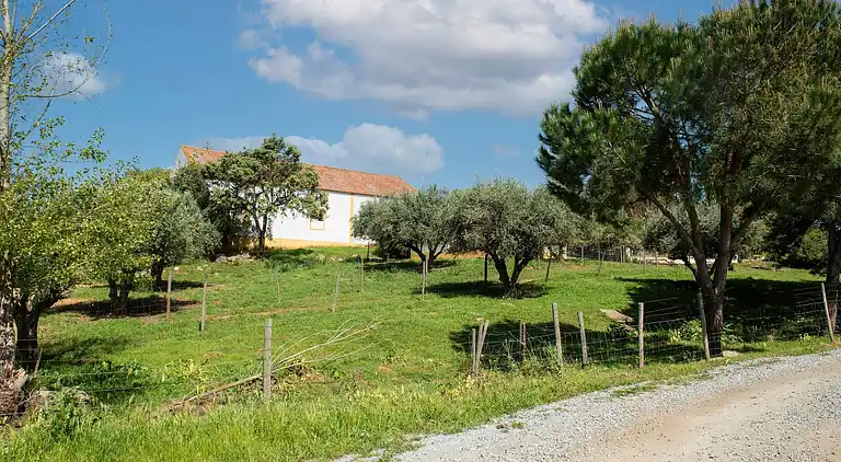 Farm house in São Sebastião da Giesteira