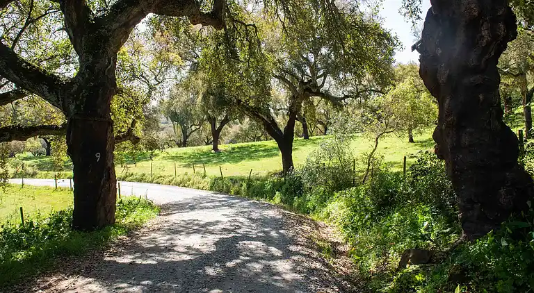 Farm house in São Sebastião da Giesteira