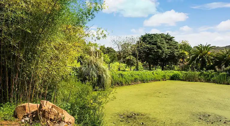 Farm house in São Sebastião da Giesteira
