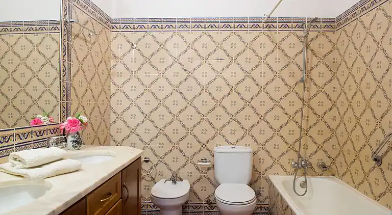 Farm house in São Sebastião da Giesteira