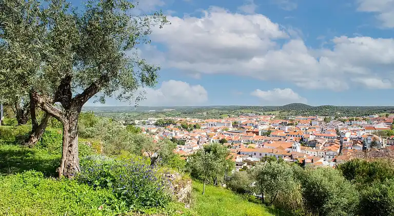 Farm house in São Sebastião da Giesteira