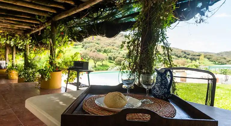 Farm house in São Sebastião da Giesteira