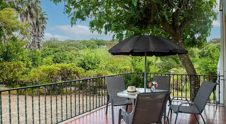 Farm house in São Sebastião da Giesteira