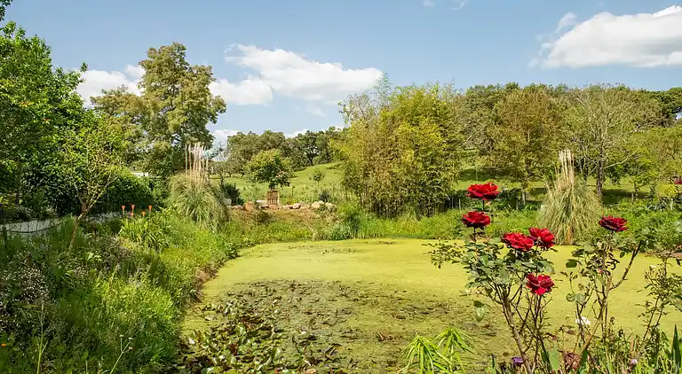 Farm house in São Sebastião da Giesteira