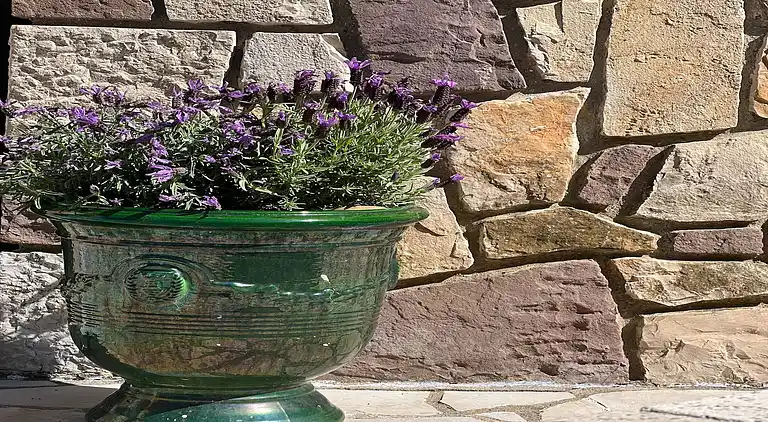 Villa i Roquebrune-sur-Argens