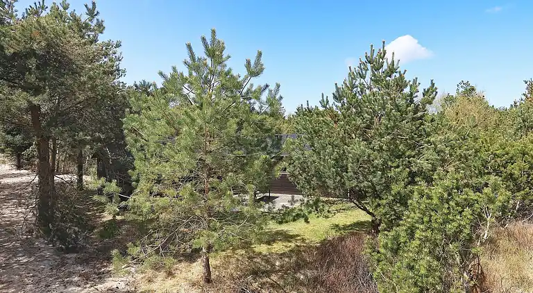 Sommerhus i Fjerritslev