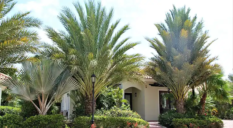 Holiday home in Saliña