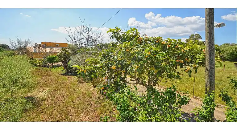 Holiday home in Búger