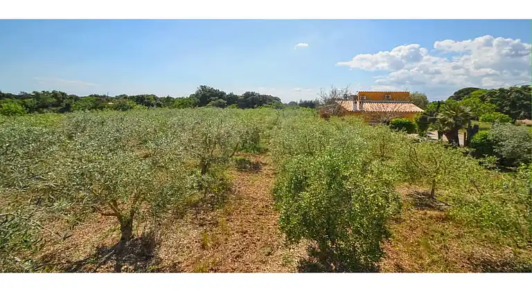 Holiday home in Búger