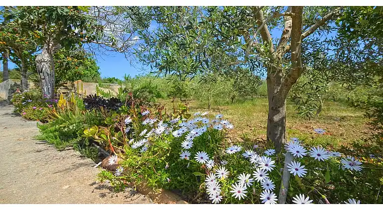 Holiday home in Búger