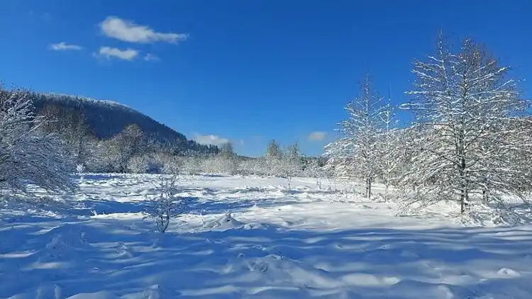 Holiday home in Lokve