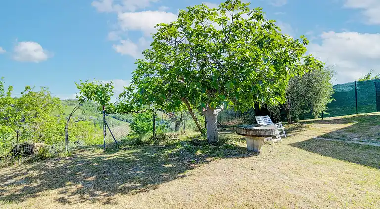 Ferienhaus in Torchiaro